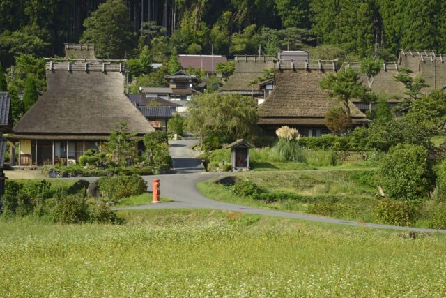 重要伝統的建造物群保存地区に選定されている美山町を代表する観光スポット「かやぶきの里」