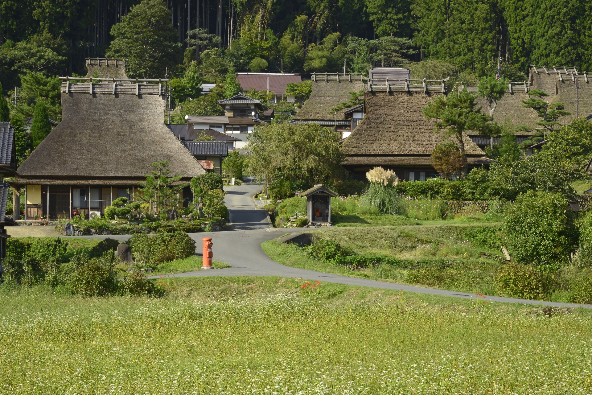重要伝統的建造物群保存地区に選定されている美山町を代表する観光スポット「かやぶきの里」