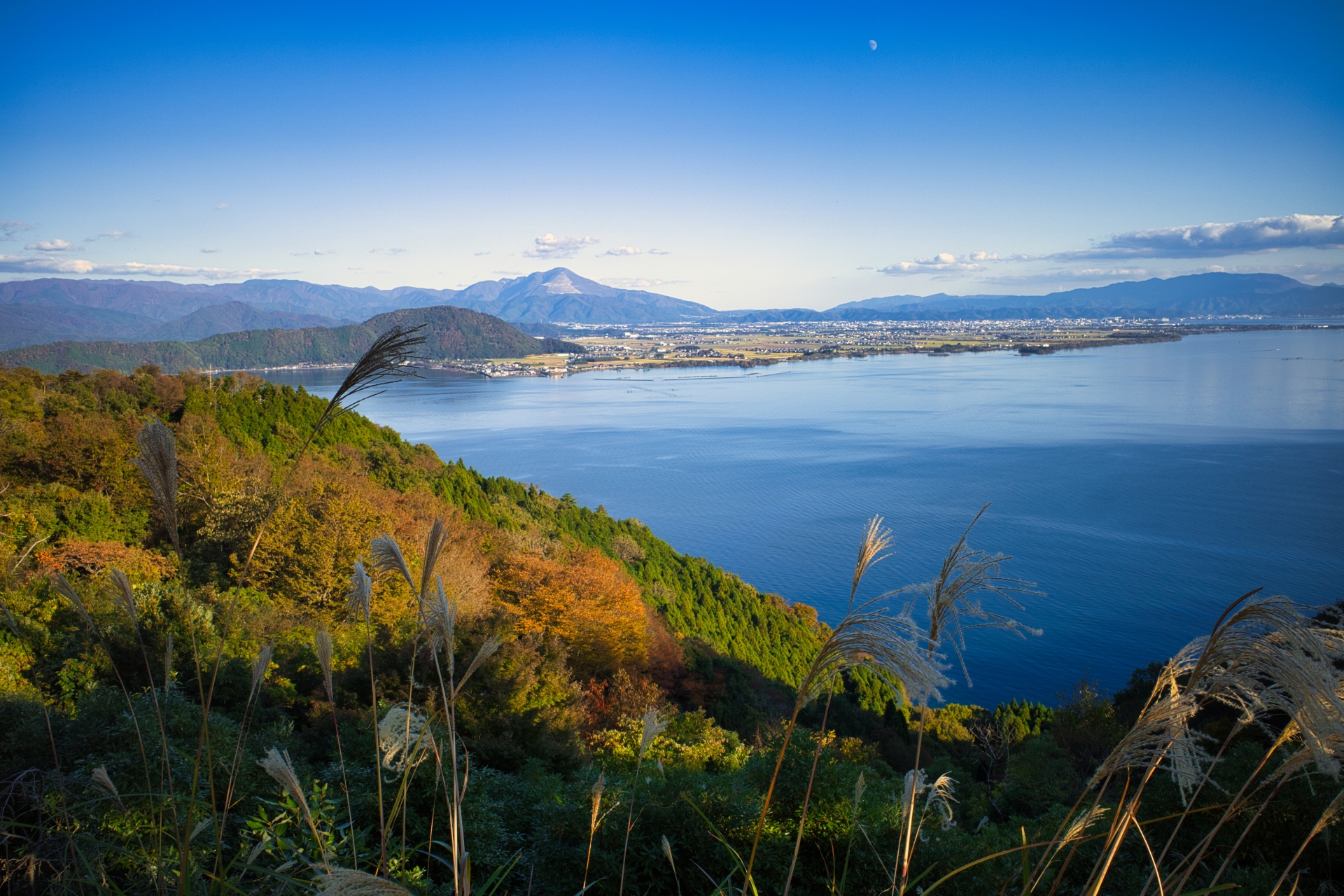 つづら尾崎展望台から眺める伊吹山